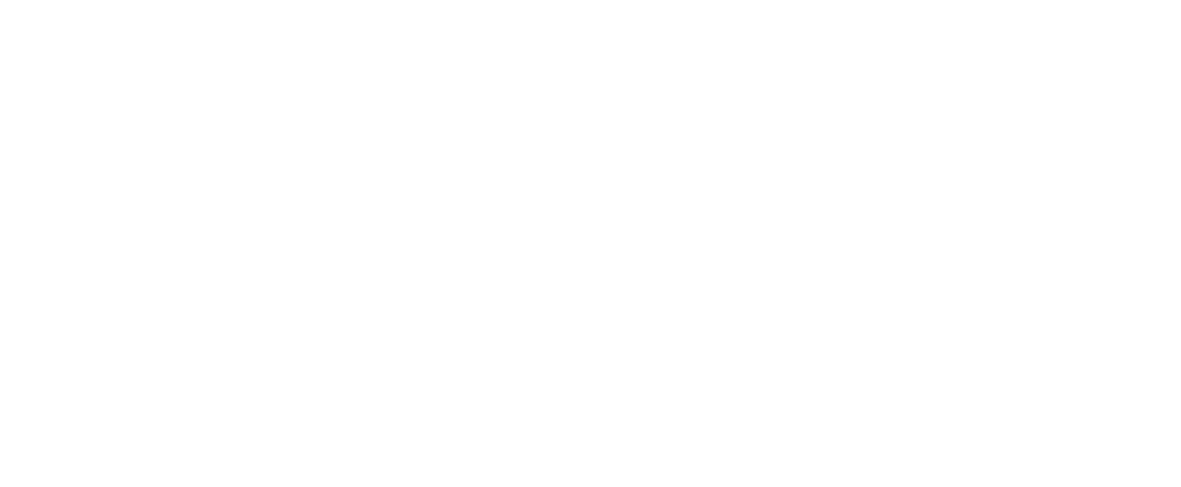 Sortie Project
